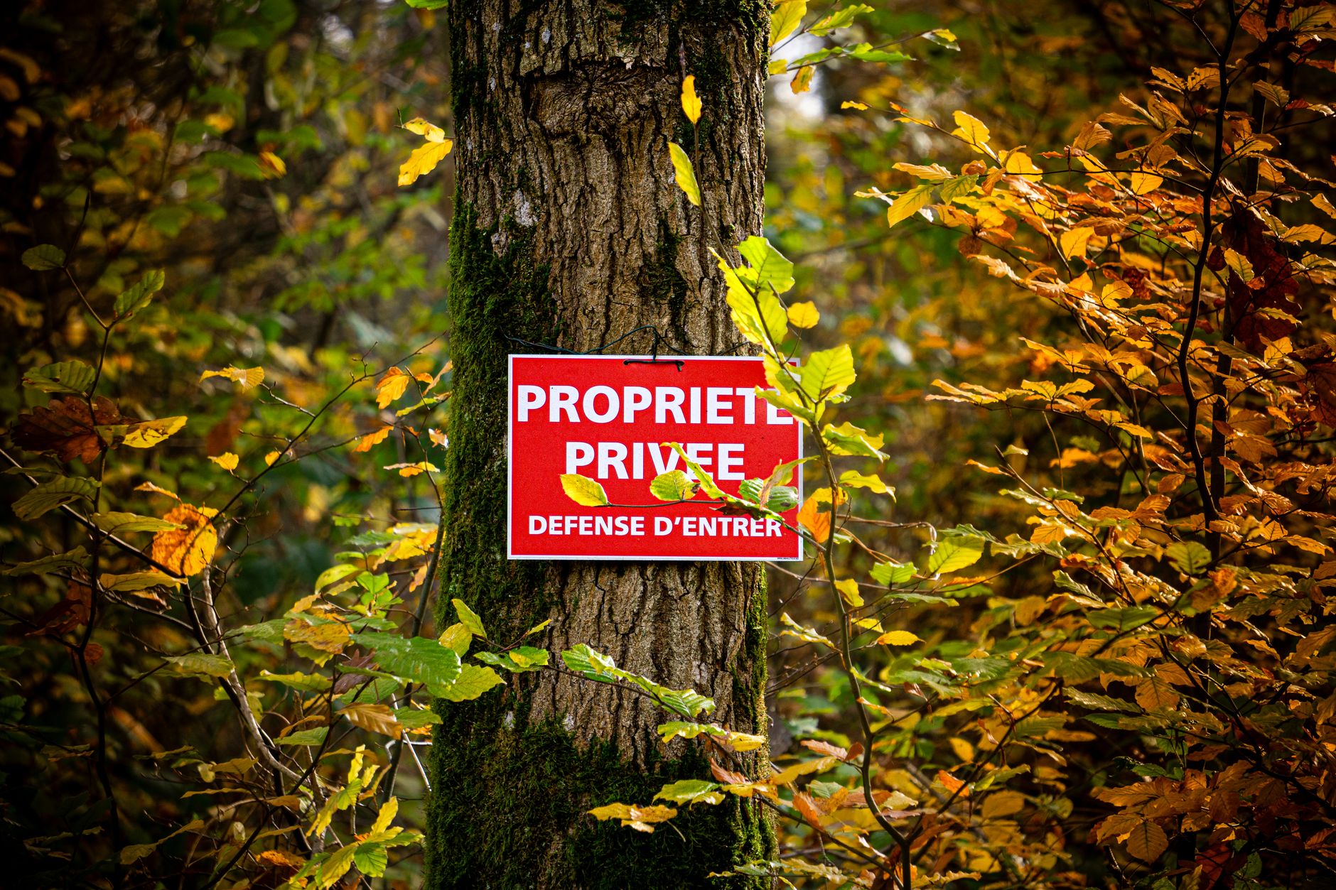 Détective privé à Fréjus